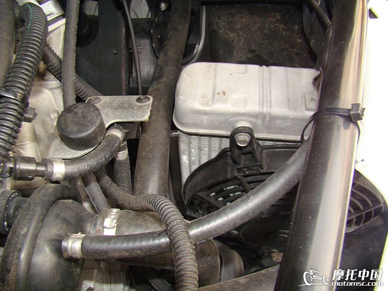 ��ȴ����