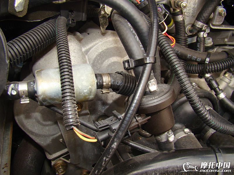 ������о��̼�޷�