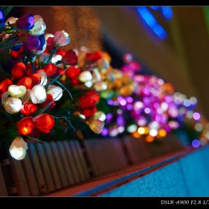 �ػʷ�� qhdxfws.jpg