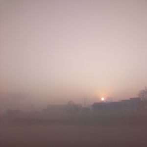 ���� qubiao427.jpg