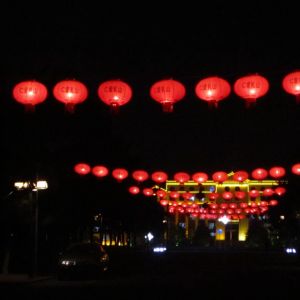 �ƻ���ɺ �޵���.jpg