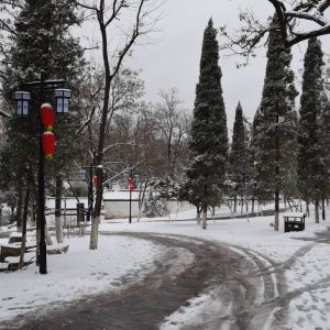 ����ѩ�� �����.jpg