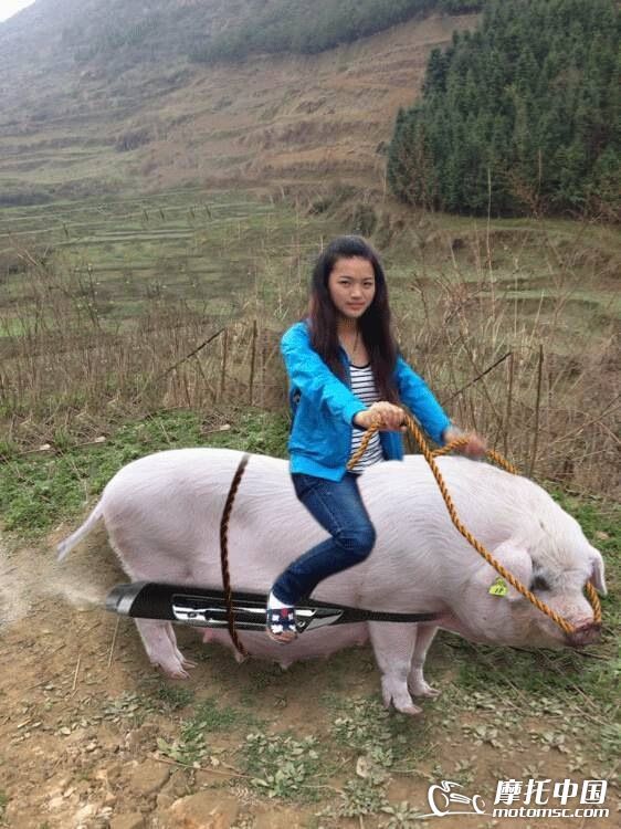 IMG_3138.JPG IMG_3138.JPG