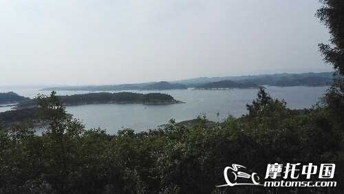IMG_20160430_154948.jpg