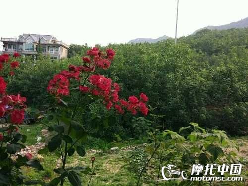 UC_Photo_010.jpg