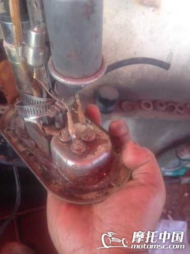 image.jpg