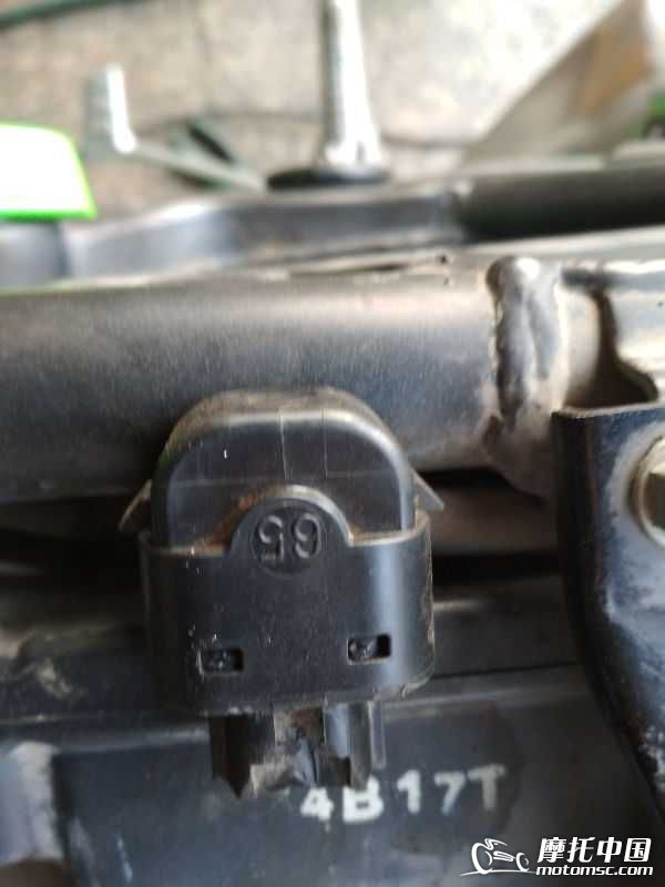 33309