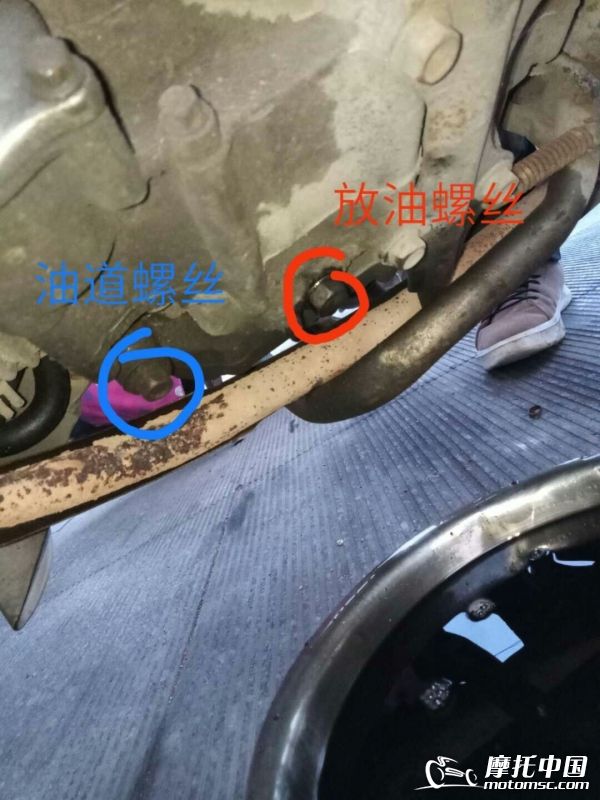 mmexport1515129303182.jpg