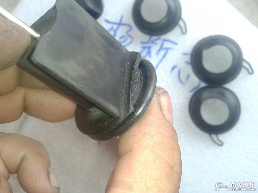 20190927_150517.jpg